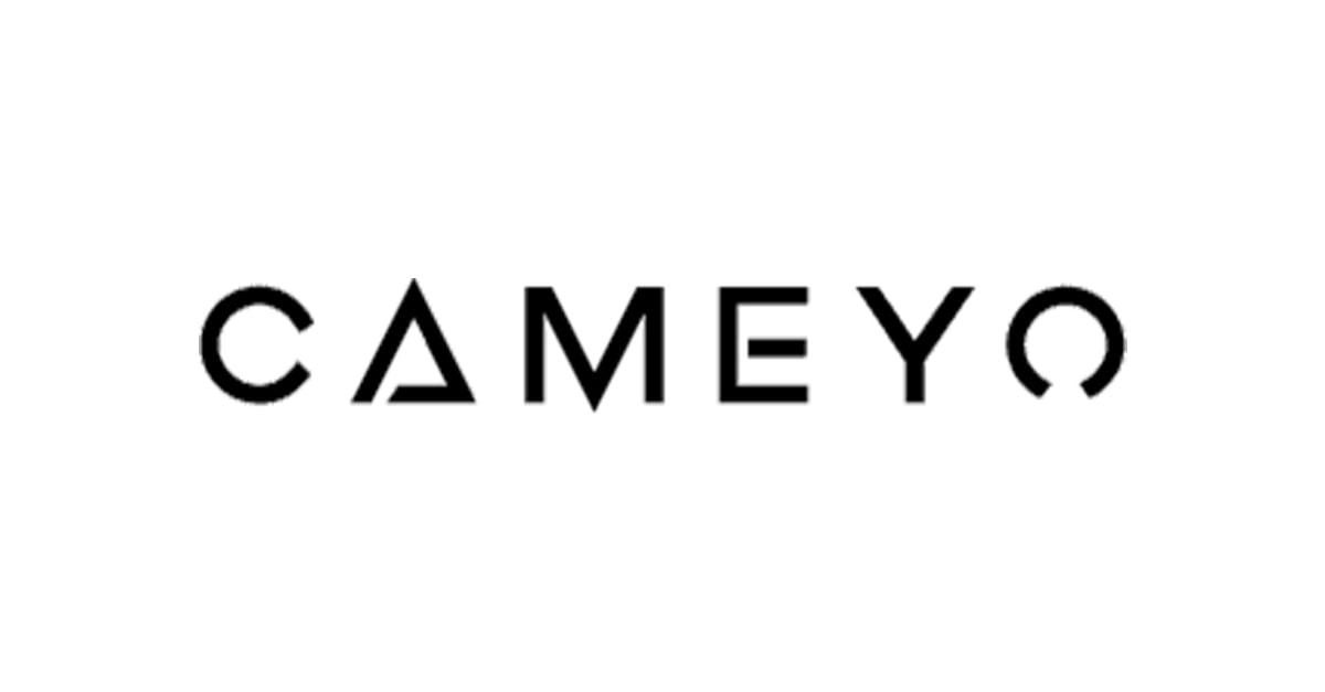 Promevo and Cameyo Partner to Provide Organizations with End-to-End Google Solutions & Services for the Digital Workspace